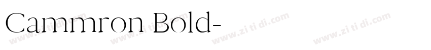 Cammron Bold字体转换